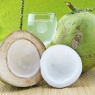 natürlicher, fettfreier Iso-Drink aus der Kokosnuss