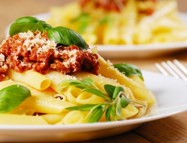 Bolognese Bolognese