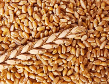 Dinkel Dinkel