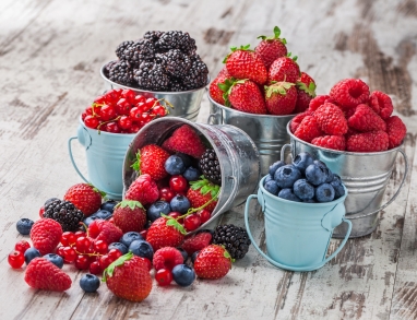 Ernährung Ernährung