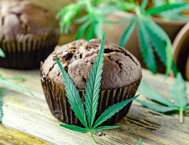 Hanfmuffins Hanfmuffins