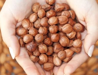 Haselnüsse zum Backen und Knabbern geeignet Haselnüsse zum Backen und Knabbern geeignet