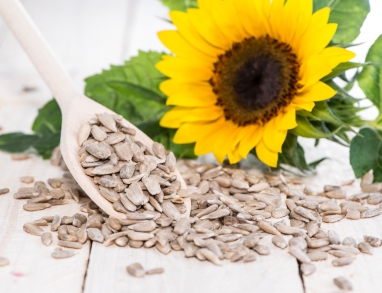 Sonnenblumenkerne Sonnenblumenkerne
