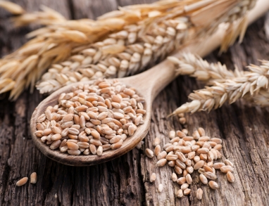 Whole Grain  Whole Grain