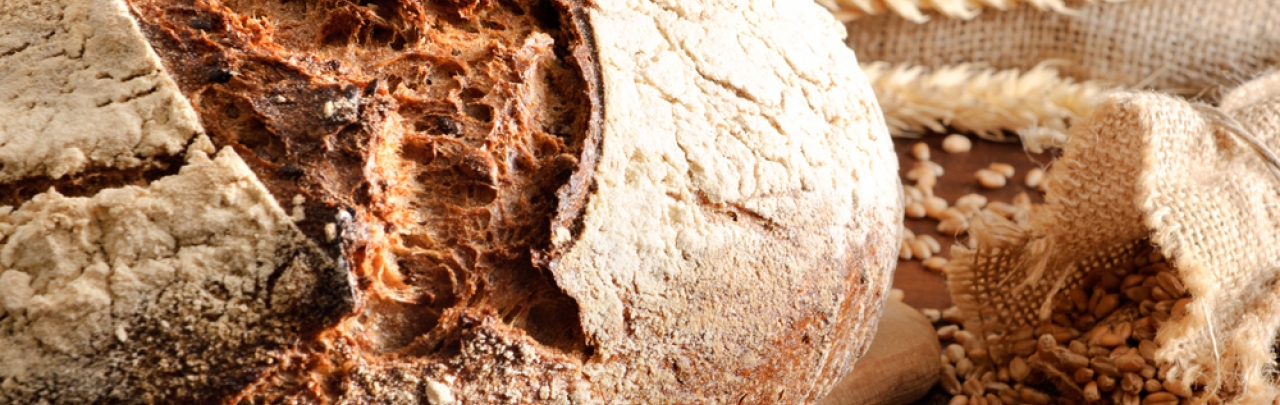 Bio Sauerteig für leckeres Brot das länger hält Bio Sauerteig für leckeres Brot das länger hält
