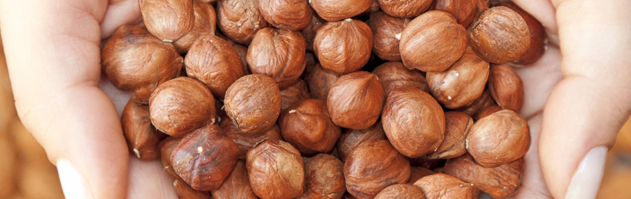 Haselnüsse zum Backen und Knabbern geeignet Haselnüsse zum Backen und Knabbern geeignet