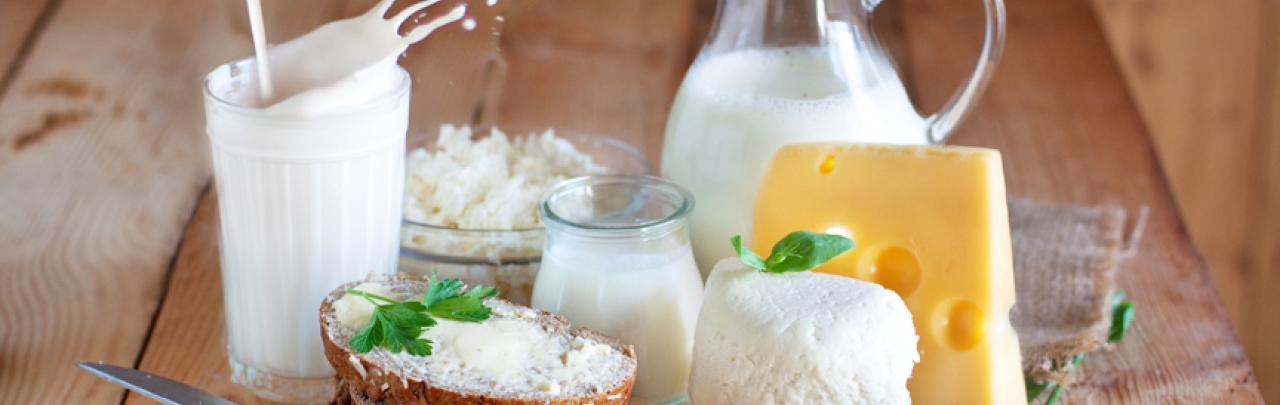 Milchprodukte Milchprodukte