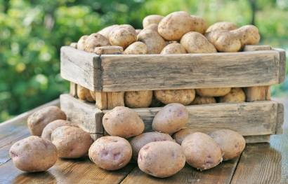 Kartoffeln richtig lagern